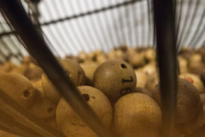 Sorteios e promoções; LGPD